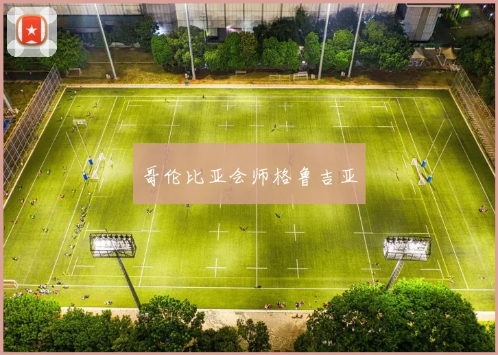 哥伦比亚会师格鲁吉亚
