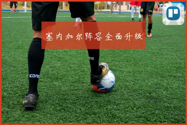塞内加尔阵容全面升级