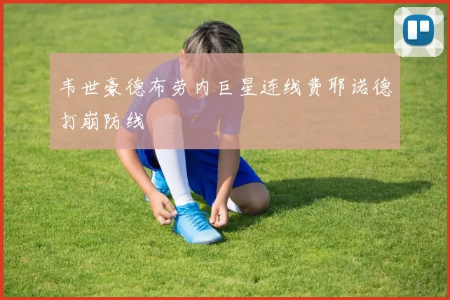 韦世豪德布劳内巨星连线费耶诺德打崩防线