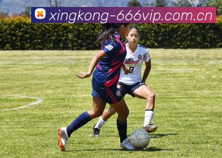 xingkongApp界面预览