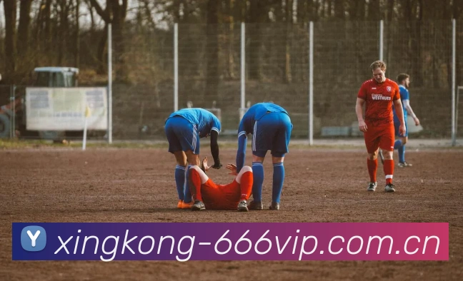 xingkong下载二维码