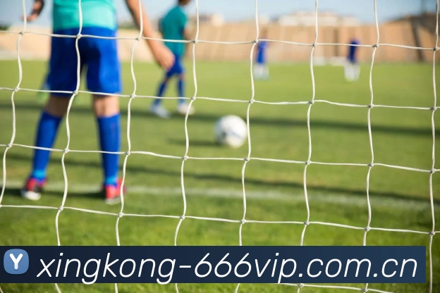 xingkong战术演练