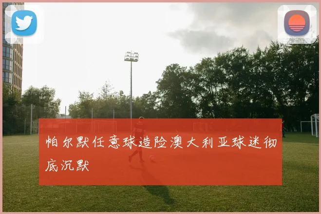 帕尔默任意球造险澳大利亚球迷彻底沉默