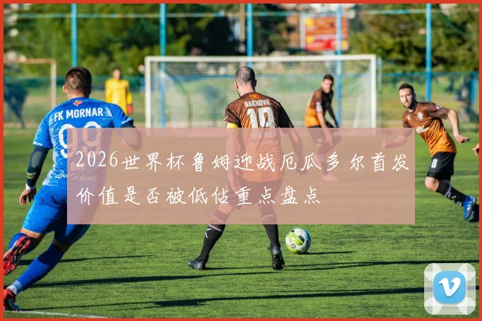 2026世界杯鲁姆迎战厄瓜多尔首发价值是否被低估重点盘点