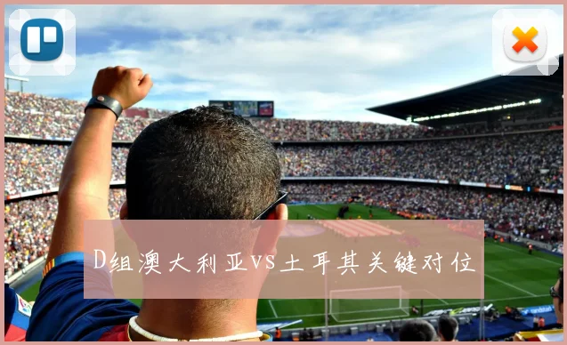 D组澳大利亚vs土耳其关键对位