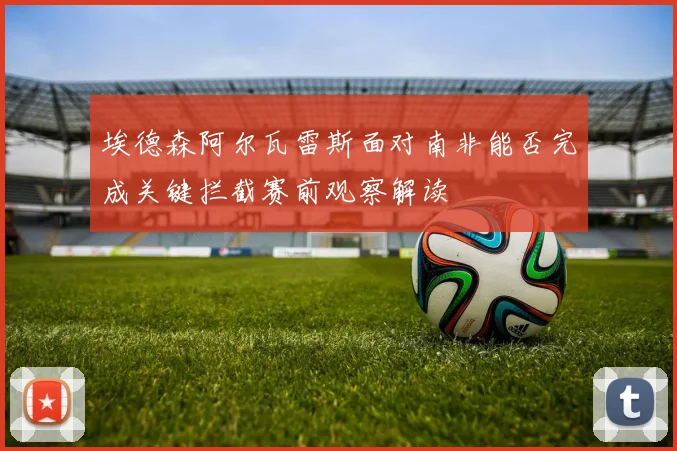 埃德森阿尔瓦雷斯面对南非能否完成关键拦截赛前观察解读