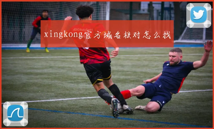 xingkong官方域名核对怎么找