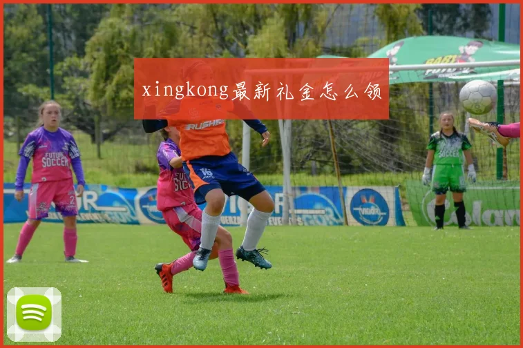 xingkong最新礼金怎么领