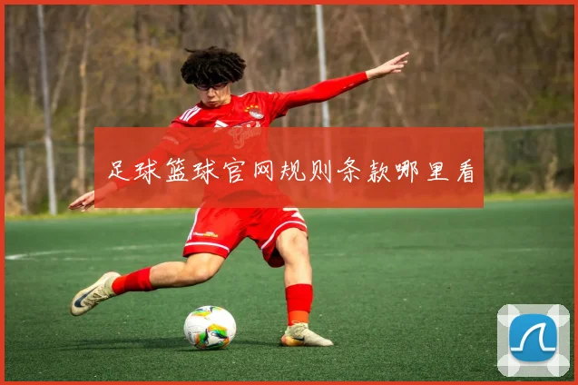 足球篮球官网规则条款哪里看